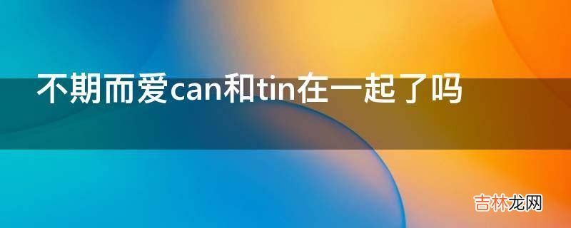 不期而爱can和tin在一起了吗?