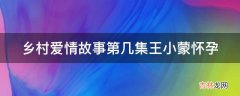 乡村爱情故事第几集王小蒙怀孕?