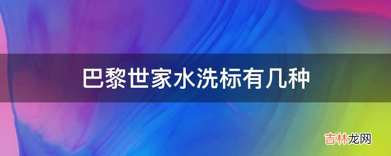 巴黎世家水洗标有几种?