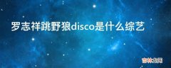 罗志祥跳野狼disco是什么综艺?