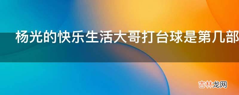 杨光的快乐生活大哥打台球是第几部?