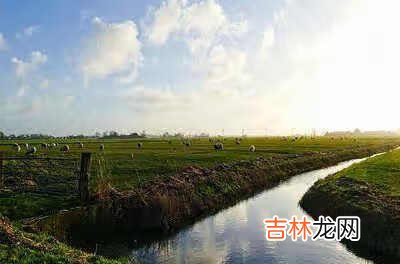 次日是什么意思 次日