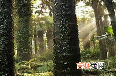 次日是什么意思 次日