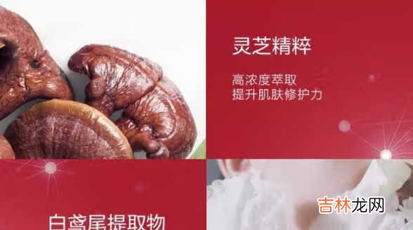 娇韵诗双萃精华和红腰子精华雅诗兰黛精华对比哪个好?