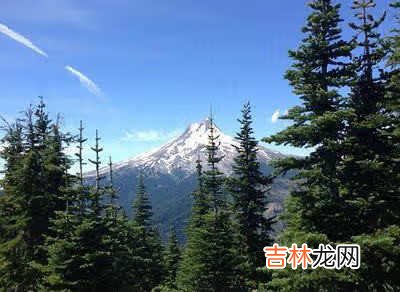 小米手机频繁的自动关机又自动开机是什么原因 小米手机频繁自动关机