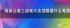 母亲让老三给老大去顶罪是什么电视剧?