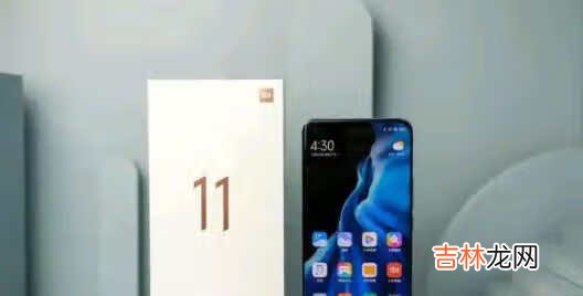 小米11和华为nova8pro哪个拍照好_小米11和华为nova8pro拍照对比