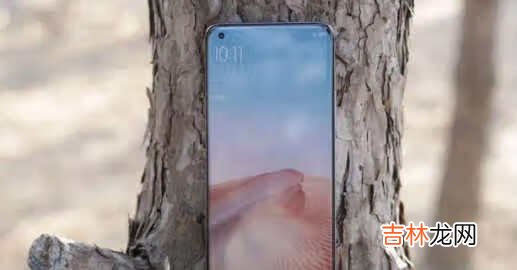 小米11和华为nova8pro哪个拍照好_小米11和华为nova8pro拍照对比