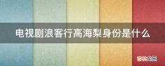 电视剧浪客行高海梨身份是什么?