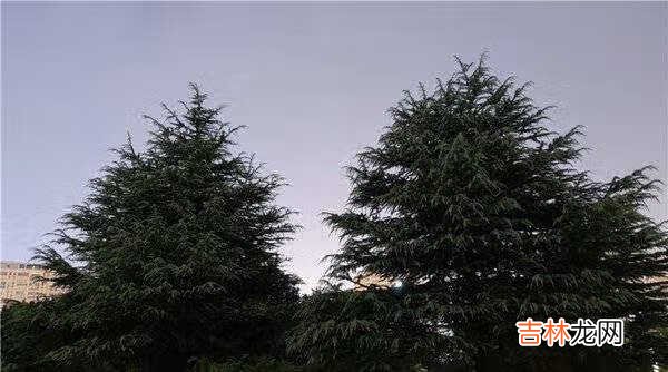 华为mate40跟小米10至尊版哪个好_华为mate40跟小米10至尊版参数对比