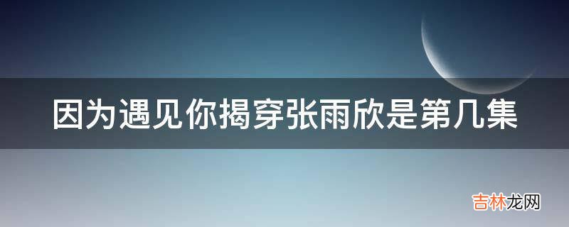 因为遇见你揭穿张雨欣是第几集?