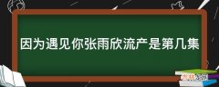 因为遇见你张雨欣流产是第几集?