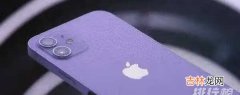 iphone12拍照模糊怎么办_iphone12拍照偏黄怎么办