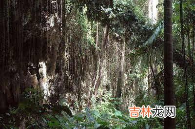 团代会的?程序议程演讲稿 学校团代会流程