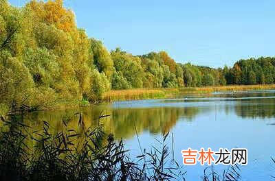 团代会的?程序议程演讲稿 学校团代会流程