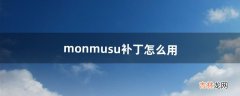 monmusu补丁怎么用（实况补丁在哪里下)