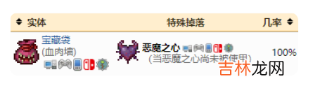 泰拉瑞亚饰品栏怎么增加呢