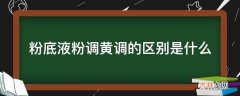 粉底液粉调黄调的区别是什么?