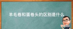 羊毛卷和蛋卷头的区别是什么?