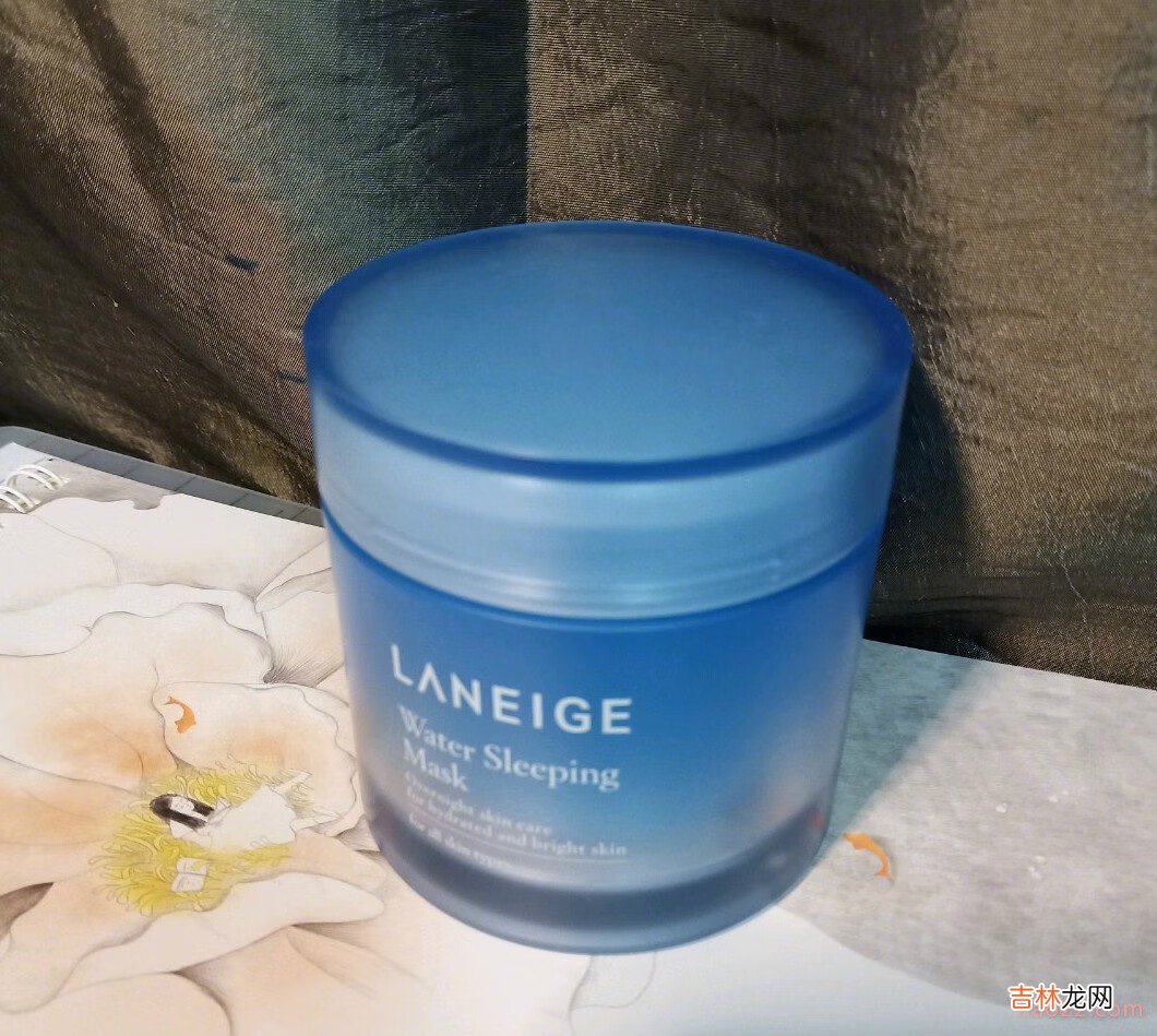兰芝睡眠面膜真的好用吗? 虽然是女神宋慧乔代言的，不过真心难用，不推荐，我算是彻底拔草了