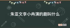 朱亚文李小冉演的剧叫什么?