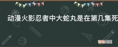 动漫火影忍者中大蛇丸是在第几集死的?