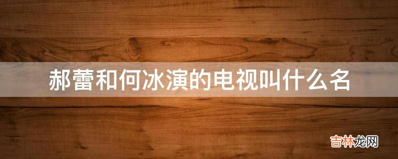 郝蕾和何冰演的电视叫什么名?