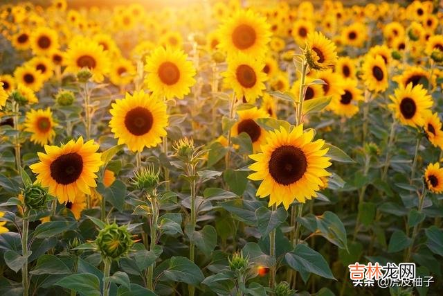 如何学会提问（个人提问入口)