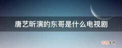 唐艺昕演的东哥是什么电视剧?