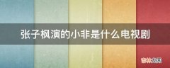 张子枫演的小非是什么电视剧?