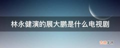 林永健演的展大鹏是什么电视剧?