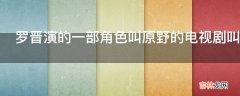 罗晋演的一部角色叫原野的电视剧叫什么名字?