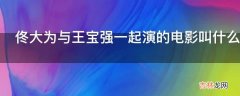 佟大为与王宝强一起演的电影叫什么名字?