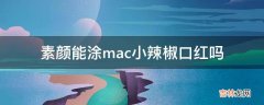 素颜能涂mac小辣椒口红吗?