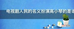 电视剧人民的名义扮演高小琴的是谁?