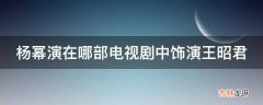 杨幂演在哪部电视剧中饰演王昭君?