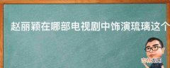 赵丽颖在哪部电视剧中饰演琉璃这个角色?