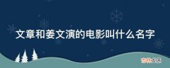 文章和姜文演的电影叫什么名字?