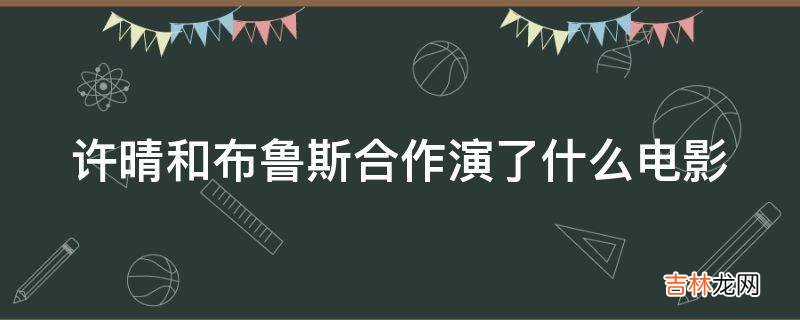 许晴和布鲁斯合作演了什么电影?