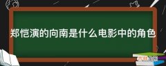 郑恺演的向南是什么电影中的角色?