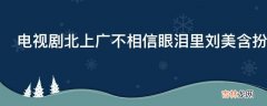 电视剧北上广不相信眼泪里刘美含扮演什么角色?