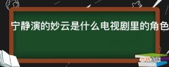 宁静演的妙云是什么电视剧里的角色?