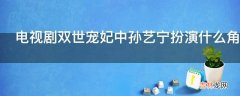 电视剧双世宠妃中孙艺宁扮演什么角色?