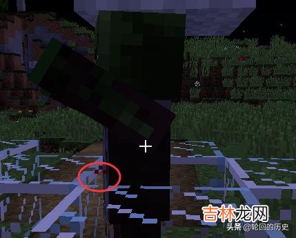 Minecraft我的世界僵尸村民怎么驯服怎么治疗