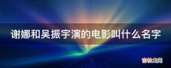 谢娜和吴振宇演的电影叫什么名字?