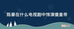 陈豪在什么电视剧中饰演傻皇帝?