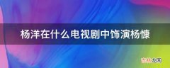 杨洋在什么电视剧中饰演杨慷?