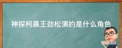 神探柯晨王劲松演的是什么角色?