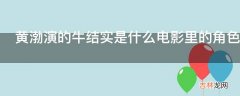 黄渤演的牛结实是什么电影里的角色?