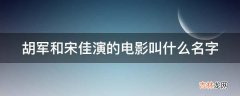 胡军和宋佳演的电影叫什么名字?